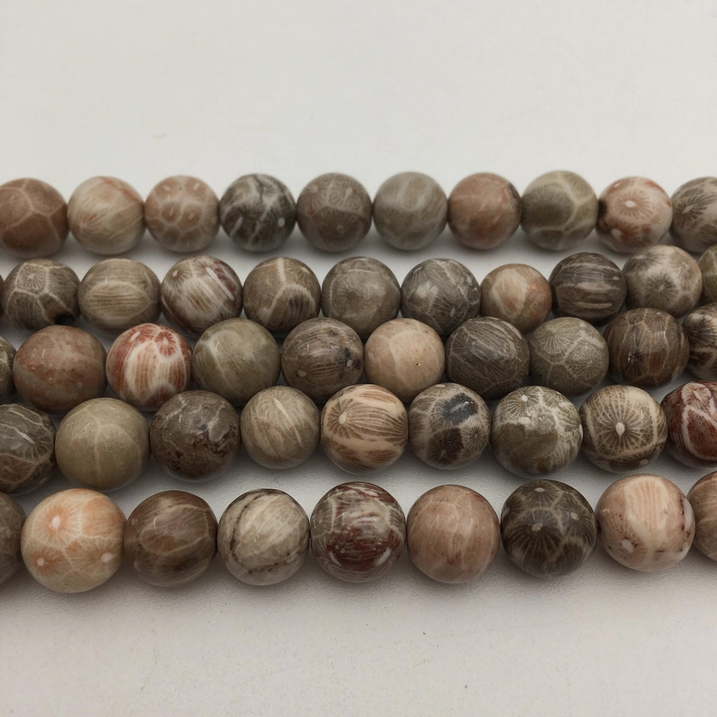 Fossil Coral Beads CRC Beads