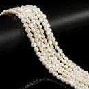 White Fresh Water Pearl Coin Shape Beads Size 5-6mm 15.5'' Strand