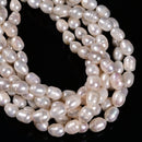 Natural White Fresh Water Pearl Rice Shape Beads Size 9-10 x 11-13mm 14.5"Strand