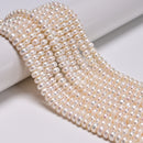 Natural White Fresh Water Pearl Rondelle Button Beads Size 4x7mm 13.5'' Strand