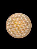 Orange Selenite Crystal Round Charging Plate Flower of Life Size 3.25" Inches