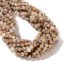 Natural Banded Mother of Pearl MOP Shell Smooth Round Beads 4mm 6mm 15.5'' Strd