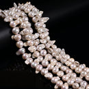 White Fresh Water Pearl Top Drill Baroque Shape Beads 10-11x15-20mm 15.5" Str