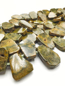 Natural Fossil Coral Graduated Irregular Trapezoid Slab Beads 18x23mm-30x35mm 15.5'' Strand