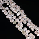 White Fresh Water Keshi Pearl Top Drill Corn Flake Petals Beads 18x20mm 15.5"Str