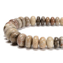 Natural Fossil Coral Graduated Smooth Rondelle Beads 5x8-10x18mm 15.5'' Strand