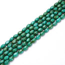 Dark Green Turquoise Smooth Full Oval Shape Beads Size 10x13mm 15.5'' Strand