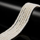 AAA White Fresh Water Pearl Rondelle Button Beads Size 5mm 6mm 8mm 14.5''Strand