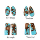 Bronzite Turquoise Pendant Earrings Size 18x42mm Sold Per Pair