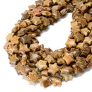 Natural Picture Jasper Five-Pointed Star Beads Size 15mm 15.5'' Strand