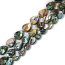 Natural Abalone Teardrop Shape Beads Size 8x12mm 12x16mm 13x18mm 15.5'' Strand