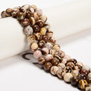 Natural African Zebra Jasper Smooth Round Beads 6mm 8mm 10mm 12mm 15.5" Strand