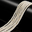 White Bamboo Coral Faceted Round Beads 3mm 4mm 6mm 15.5" Strand