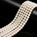 White Bamboo Coral Faceted Round Beads 3mm 4mm 6mm 15.5" Strand