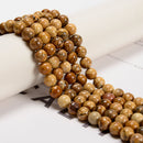 Picture Jasper Smooth Round Beads 4mm 6mm 8mm 10mm 12mm 15.5" Strand