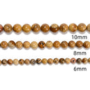 Picture Jasper Smooth Round Beads 4mm 6mm 8mm 10mm 12mm 15.5" Strand