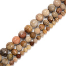 Natural Petrified Wood Faceted Round Beads 6mm 8mm 10mm 15.5" Strand