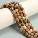 Natural Petrified Wood Faceted Round Beads 6mm 8mm 10mm 15.5" Strand