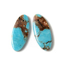 Bronzite Turquoise Pendant Earrings Size 15x35mm Sold Per Pair
