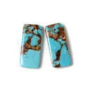Bronzite Turquoise Pendant Earrings Size 15x35mm Sold Per Pair