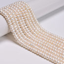 White Freshwater Pearl Rondelle Button Beads 3x5mm 4x6mm 5x7mm 5x8mm 15.5"Strand