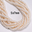 White Freshwater Pearl Rondelle Button Beads 3x5mm 4x6mm 5x7mm 5x8mm 15.5"Strand