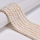 White Freshwater Pearl Rondelle Button Beads 3x5mm 4x6mm 5x7mm 5x8mm 15.5"Strand