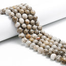 Silver Leaf Jasper Smooth Round Beads 4mm 6mm 8mm 10mm 15.5" Strand