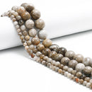 Silver Leaf Jasper Smooth Round Beads 4mm 6mm 8mm 10mm 15.5" Strand