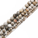 Silver Leaf Jasper Smooth Round Beads 4mm 6mm 8mm 10mm 15.5" Strand