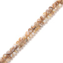 Natural Banded Mother of Pearl MOP Shell Smooth Round Beads 4mm 6mm 15.5'' Strd