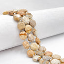 Natural Picture Jasper Hexagram Cutting Faceted Coin Beads Size 12mm 15.5'' Strd