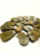 Natural Fossil Coral Graduated Irregular Trapezoid Slab Beads 18x23mm-30x35mm 15.5'' Strand