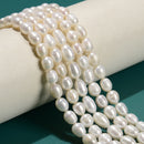 White Fresh Water Pearl Oval Rice Beads 6x8mm 7x9mm 8x10mm 10x11mm 15" Strand