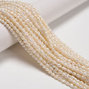 Natural White Fresh Water Pearl Baroque Shape Beads Size 4-5x5-6mm 15.5'' Strand
