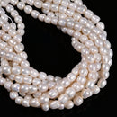 Natural White Fresh Water Pearl Barrel Shape Beads Size 7-8mm 14.5" Strand