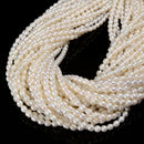 White Fresh Water Pearl Rice Shape Beads Size 3x4mm 15.5'' Strand