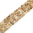 picture jasper faceted star cut beads