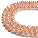 Peach Shell Pearl Smooth Round Beads 4mm 6mm 8mm 10mm 15.5" Strand