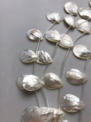 white mop shell smooth flat teardrop beads