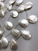 white mop shell smooth flat teardrop beads