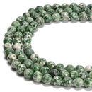 Natural Green Spot Jasper Faceted Round Beads Size 8mm 15.5'' Strand