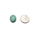 Blue Howlite Turquoise Oval Cabochon 12x16mm 20pcs Per Bag