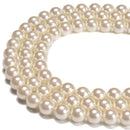 White Shell Pearl Smooth Round Beads 3mm 4mm 6mm 8mm 10mm 12mm 15.5" Strand