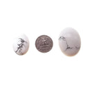 White Howlite Oval Cabochon Size 20x30mm 30x40mm Sold Per Piece
