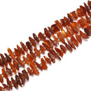 Genuine Brown Amber Rough Slice Disc Beads Size 15-20mm 15.5'' Strand