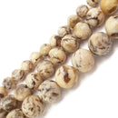 zebradorite feldspar smooth round beads