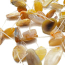Brown Agate Irregular Freeform Slab Slice Beads Approx 15-25mm 15.5" Strand