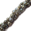 ab coated labradorite smooth round beads