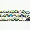 abalone oval shape beads